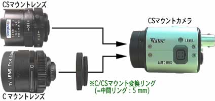 C/CS}EgϊO