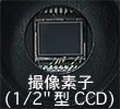 CCDBfq